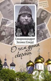 Схиархимандрит Зосима (Сокур). О чем душа скорбит