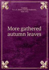 More gathered autumn leaves