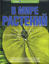В мире растений