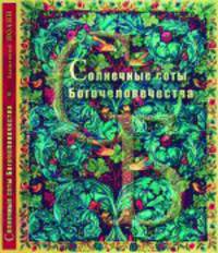 Солнечные соты Богочеловечества