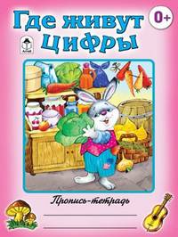 Где живут цифры (пропись-тетрадь цветная)