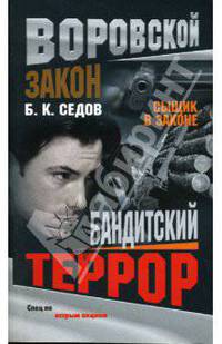 Сыщик в законе. Бандитский террор: Роман