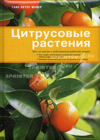 Цитрусовые растения.