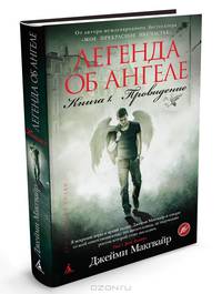 Легенда об ангеле. Книга 1. Провидение