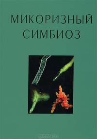Микоризный симбиоз