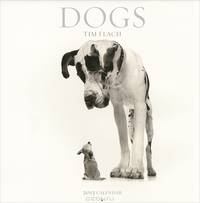 Календарь 2013 (на скрепке). Dogs
