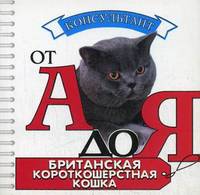 Британская короткошерстная кошка