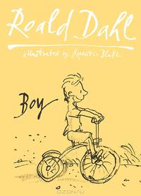 Boy: Tales of Childhood