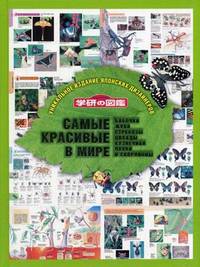 Самые красивые в мире: бабочки, жуки, стрекозы, цикады, кузнечики, пауки и скорпионы