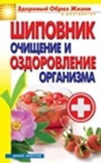 Гимнастика для сосудов