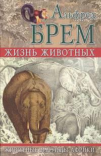 Жизнь животных. Животные и птицы Африки