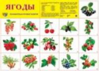 Ягоды. Демонстрационный плакат