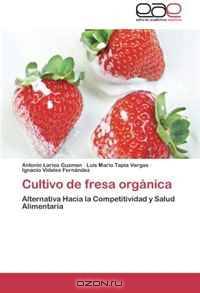 Cultivo de fresa organica: Alternativa Hacia la Competitividad y Salud Alimentaria (Spanish Edition)