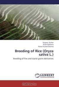Breeding of Rice (Oryza sativa L.): Breeding of fine and coarse grains derivatives