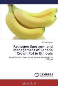 Pathogen Spectrum and Management of Banana Crown Rot in Ethiopia: Importance of Crown Rot of Banana (Musa spp.) in Ethiopia