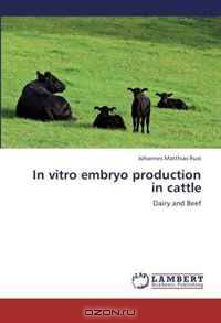 In vitro embryo production in cattle: Dairy and Beef