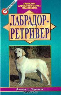 Лабрадор - ретривер