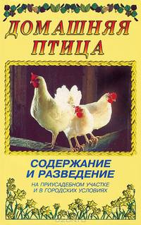 Домашняя птица. Содержание и разведение на приусадебном участке и в городских условиях