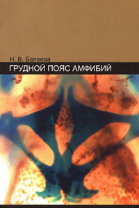 Грудной пояс амфибий