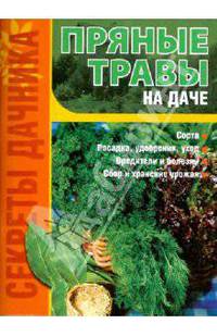 Пряные травы на даче