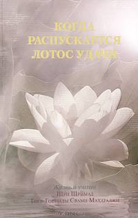 Когда распускается лотос удачи