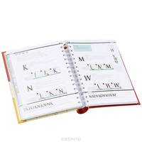 Calligraphy Alphabets for Beginners