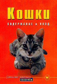 Кошки: Содержание и уход
