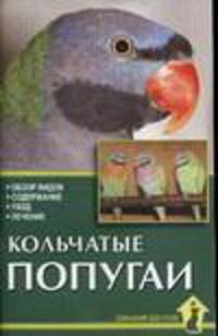 Кольчатые попугаи