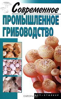 Современное промышленное грибоводство