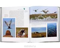 Nature Reserves of Russia