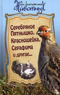 Серебряное Пятнышко, Красношейка, Серафима и другие...