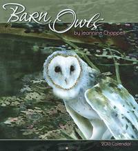Календарь 2013 (на скрепке). Barn Owls