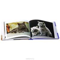 Ultimate Guide to Cat Breeds