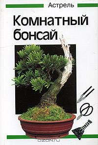 Комнатный бонсай