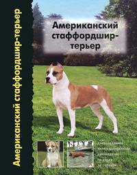 Американский стаффордшир-терьер