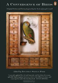 A Convergence of Birds