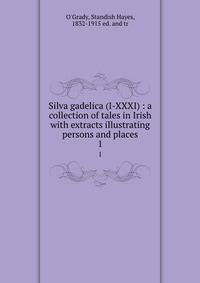 Silva gadelica (I-XXXI) : a collection of tales in Irish with extracts illustrating persons and places. 1
