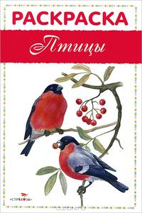 Раскраска "Птицы"