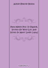 From North Pole To Equator: Studies Of Wild Life And Scenes In Many Lands