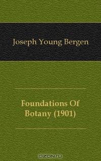 Foundations Of Botany (1901)