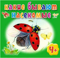 Какие бывают насекомые. Для детей от 4 лет