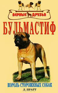 Бульмастиф. Король сторожевых собак