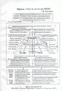 Вариант "Омега" на основе ВНМС