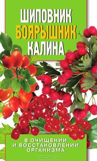 Шиповник, боярышник, калина в очищении и восстановлении организма