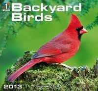 Backyard Birds 2013 Calendar