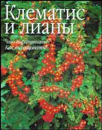 Клематис и лианы