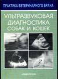 Ультразвуковая диагностика собак и кошек