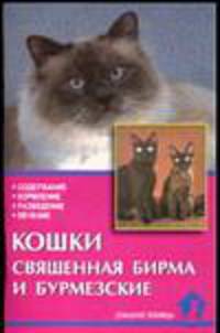 Кошки. Священная Бирма и Бурмезские. Содержание. Кормление. Разведение. Лечение