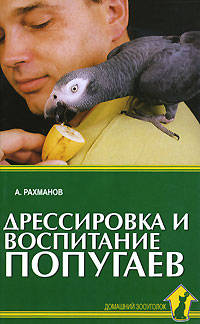 Дрессировка и воспитание попугаев