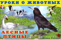 Лесные птицы